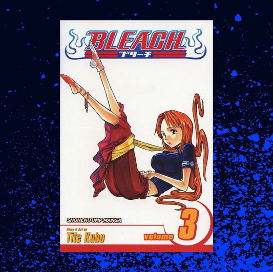 Bleach Volume 3