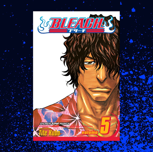 Bleach Volume 5